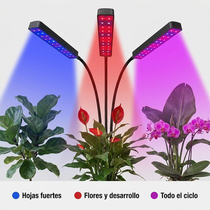 SOL INTERIOR: LAMPARA LED PARA PLANTAS FUERTES Y SANAS