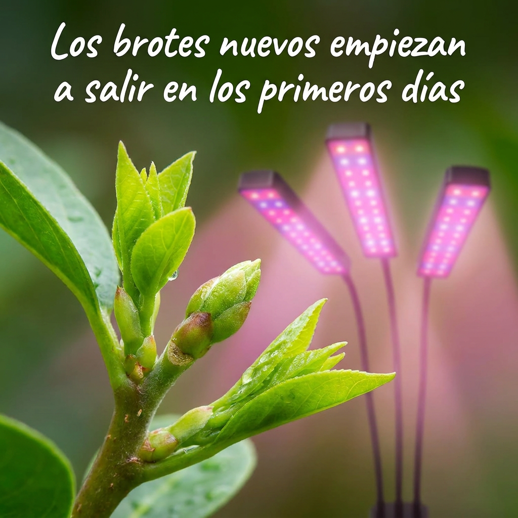 SOL INTERIOR: LAMPARA LED PARA PLANTAS FUERTES Y SANAS