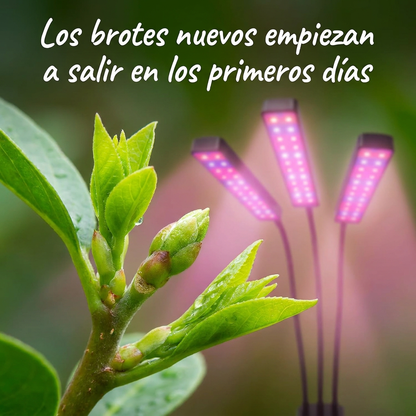 SOL INTERIOR: LAMPARA LED PARA PLANTAS FUERTES Y SANAS